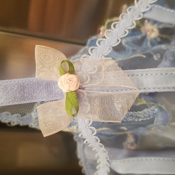 💕FOR LOVE AND LEMONS💕 Bell Bow Underwire Bra ~ Blue 38C NWT - Picture 12 of 16